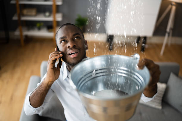 Best Ceiling water damage repair  in Hughes Springs, TX