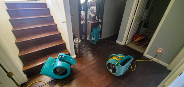 Best 24-hour water damage restoration  in Hughes Springs, TX
