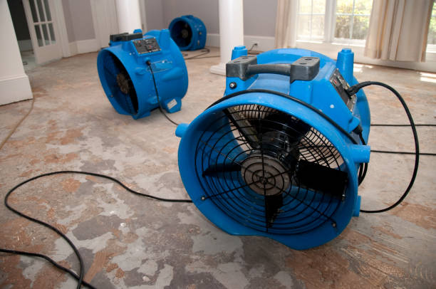  Hughes Springs, TX Water damage restoration Pros