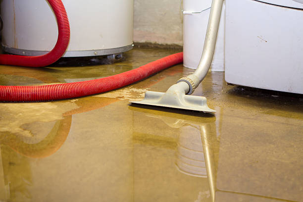 Best Water damage mitigation services  in Hughes Springs, TX