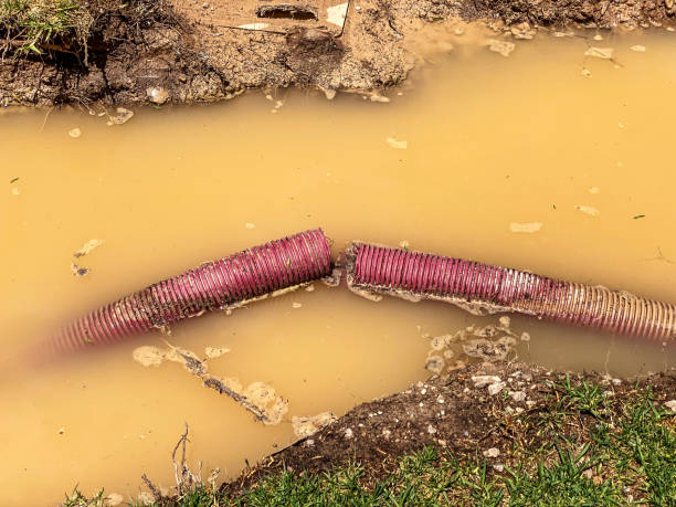 Best Carpet water damage restoration  in Hughes Springs, TX