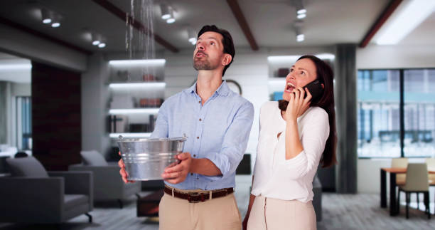 Best 24-hour water damage restoration  in Hughes Springs, TX